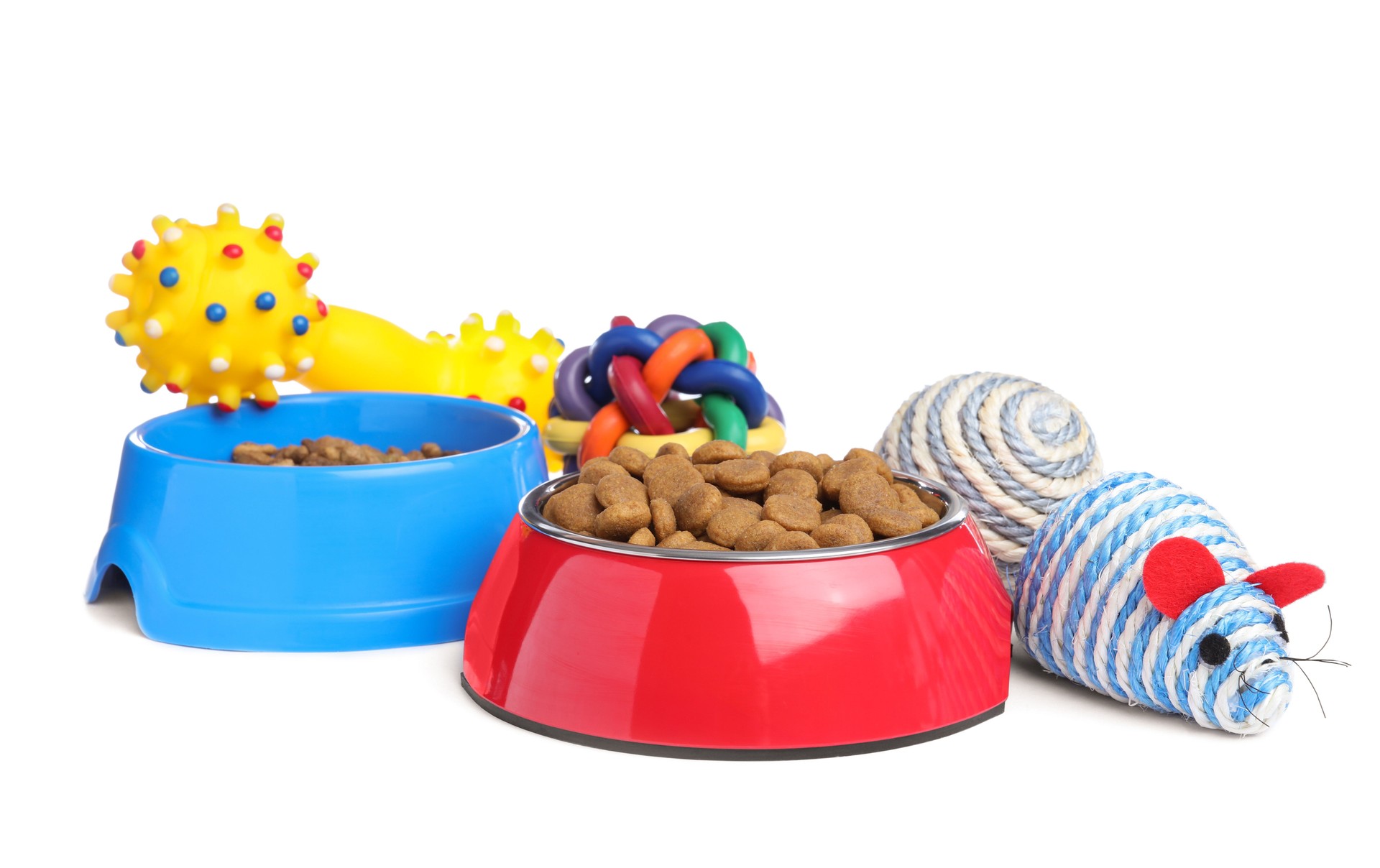 Feeding bowls and toys for pet on white background